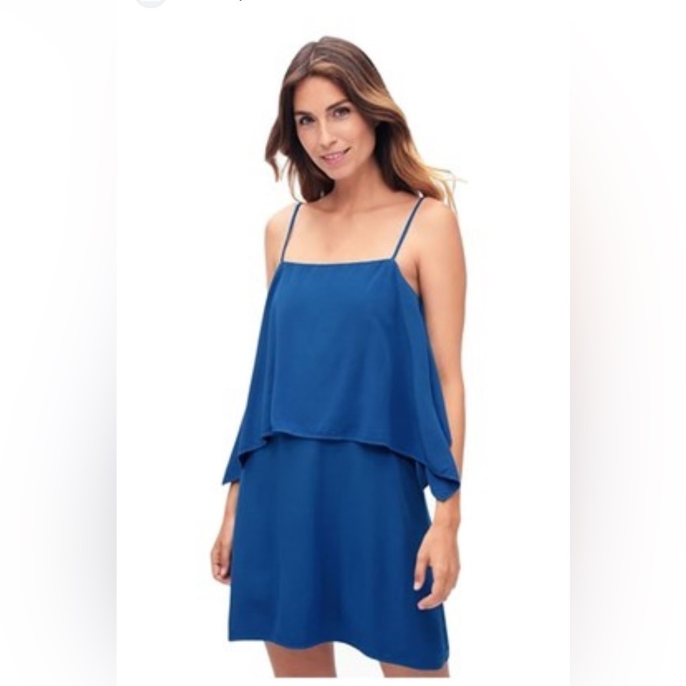 Splendid Blue Dress